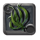 Seaweed ×116
