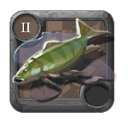 Striped Carp