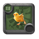 Baby Chickens