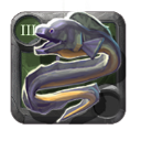 Greenriver Eel ×20