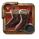 Expert's Assassin Shoes